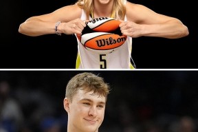 开云官方入口-阿扎伦卡个人简历