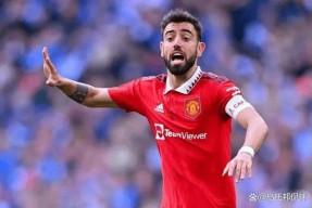 开云官方入口-关于尼斯迎全明星赛关键赛，关键时刻迎来里程碑，赛场秩序良好，球队文化再被提及的信息